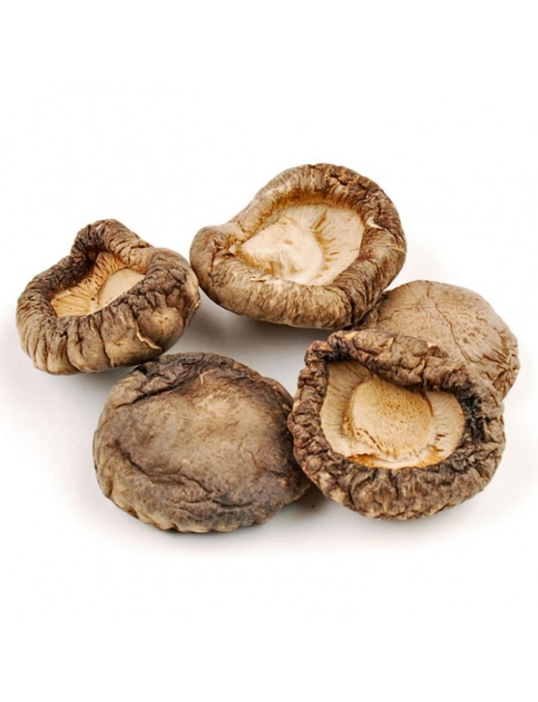 kurutulmus-standart-shiitake-mantari