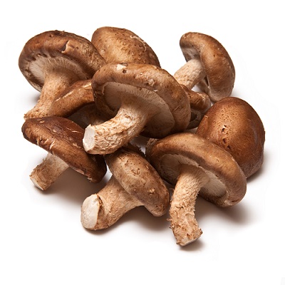 shiitake-taze-mantar